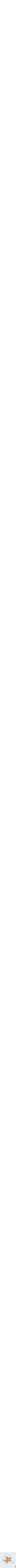 Assorti