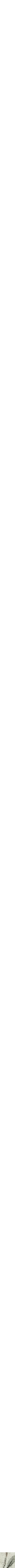 Assorti