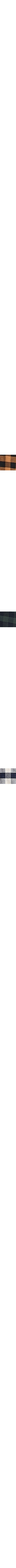Bleu à motifs
