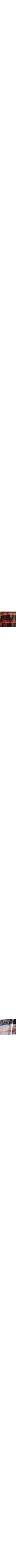 Vert à motifs