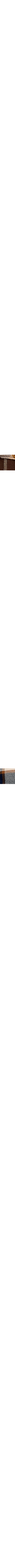 Brun à motifs