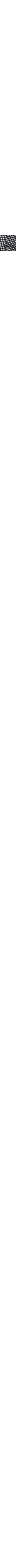 Patterned Ecru
