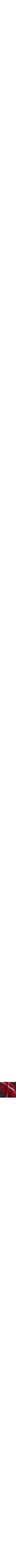 Rouge à motifs