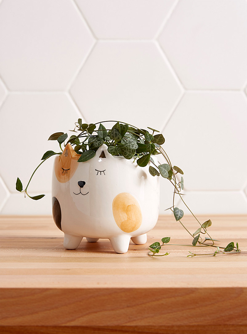 Cat nap planter 4 in | Simons Maison | Decorative Pots & Planters