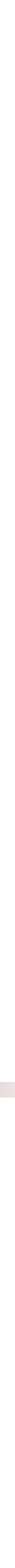 Rose à motifs