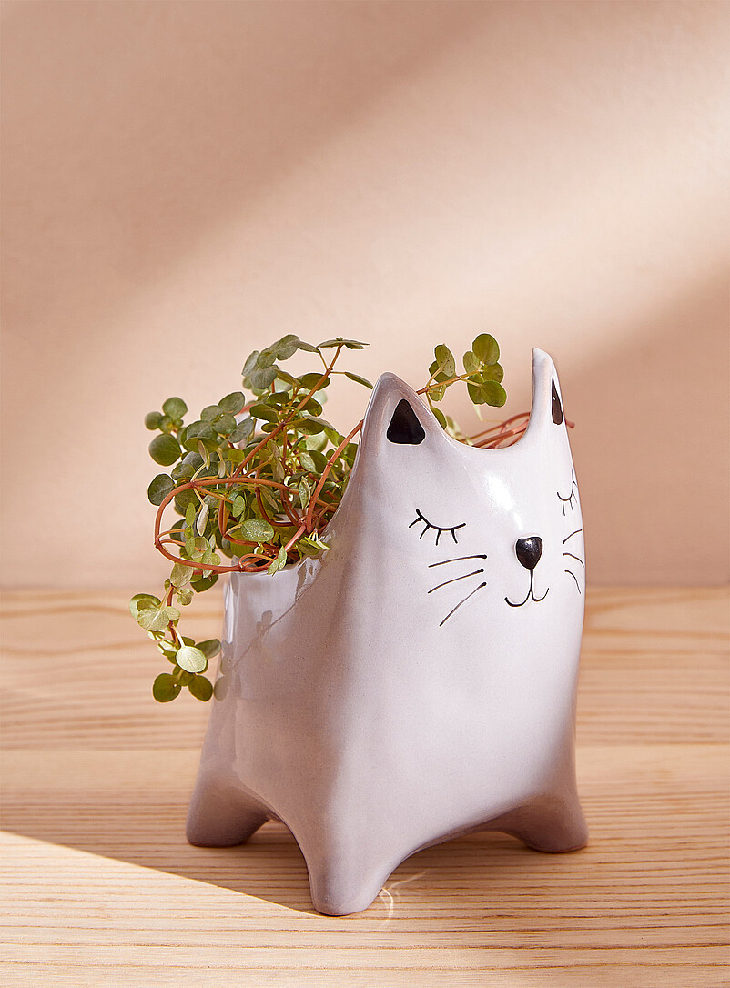 Grey Kitty Planter 2.5 In