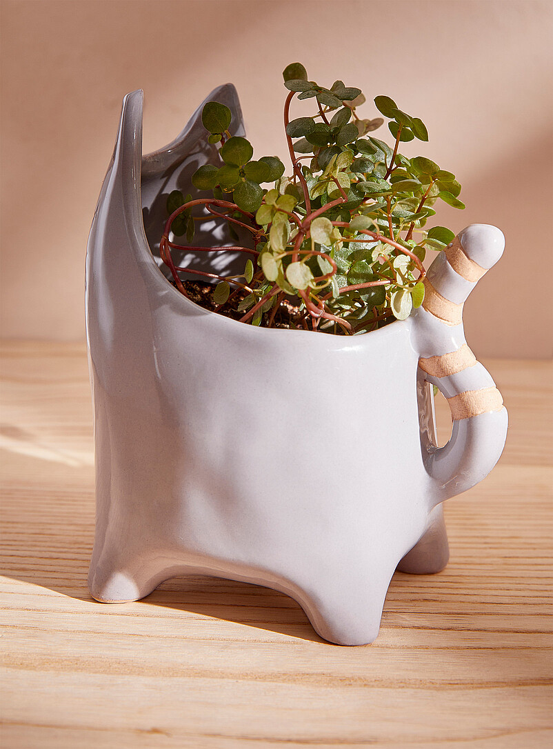 Grey kitty planter 2.5 in product image 2
