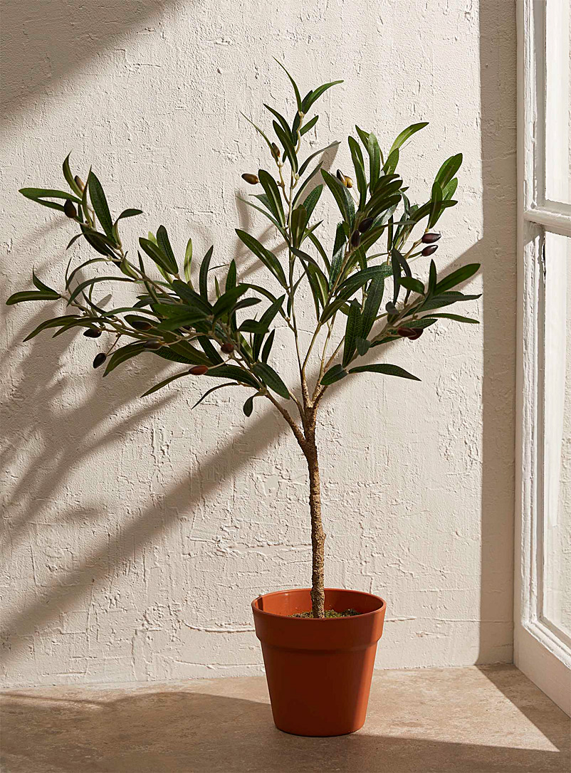 Simons Maison Assorted Olive tree imitation green plant