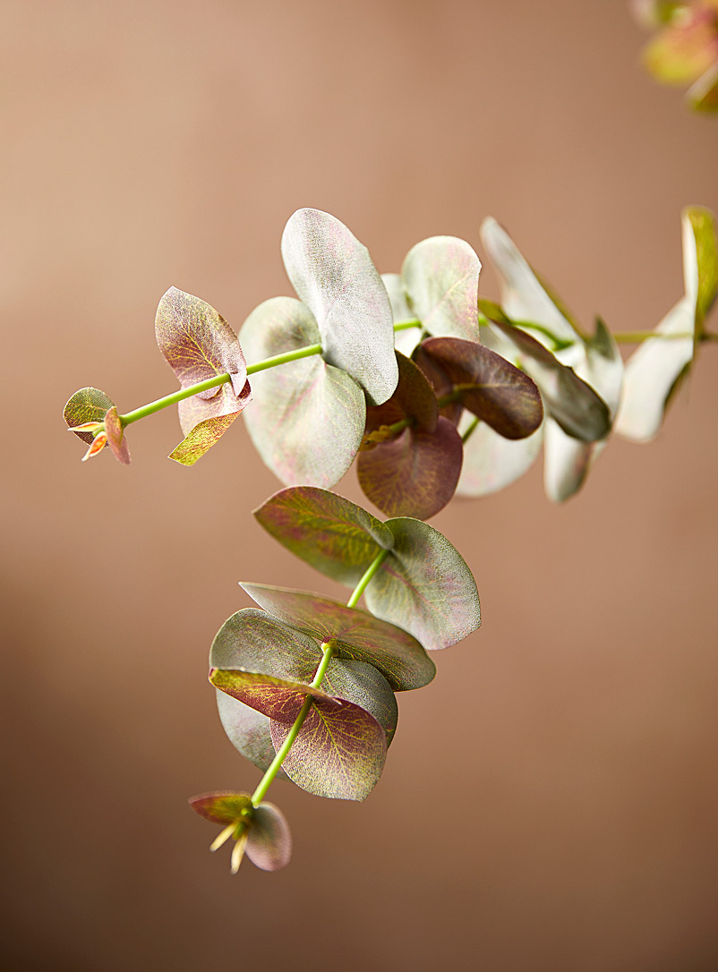 Simons Maison: La branche imitation eucalyptus vert Vert