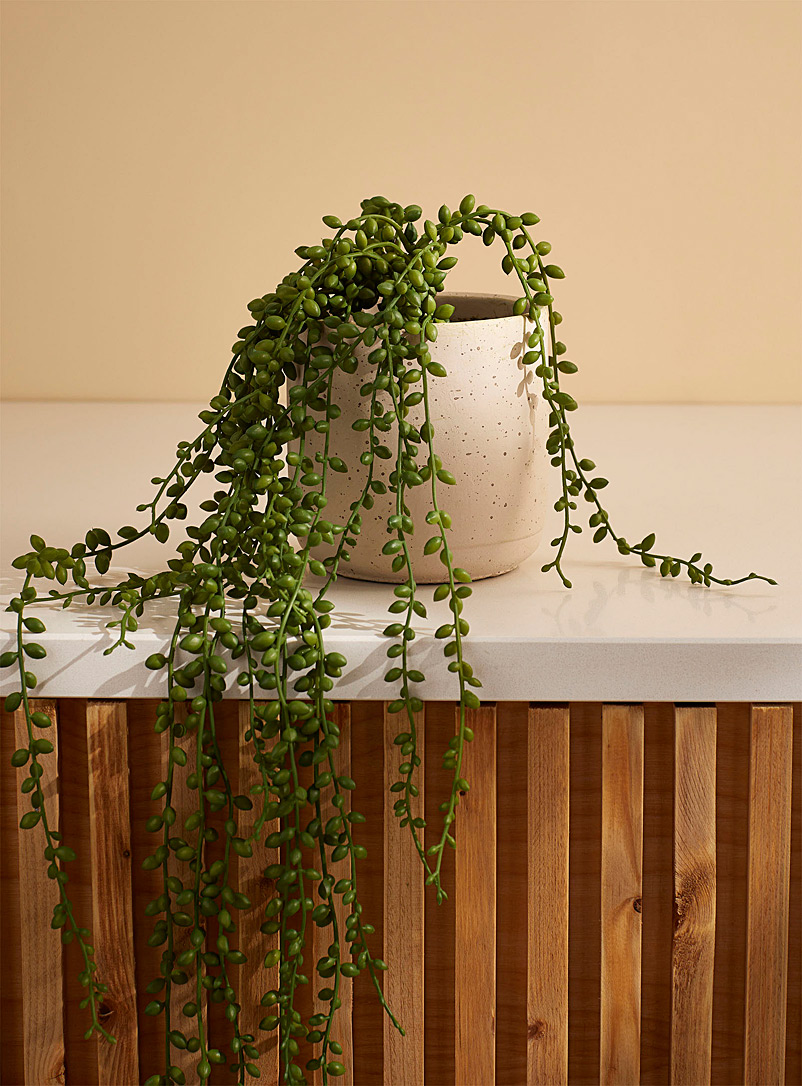 Simons Maison Green Artificial string of pearls green plant