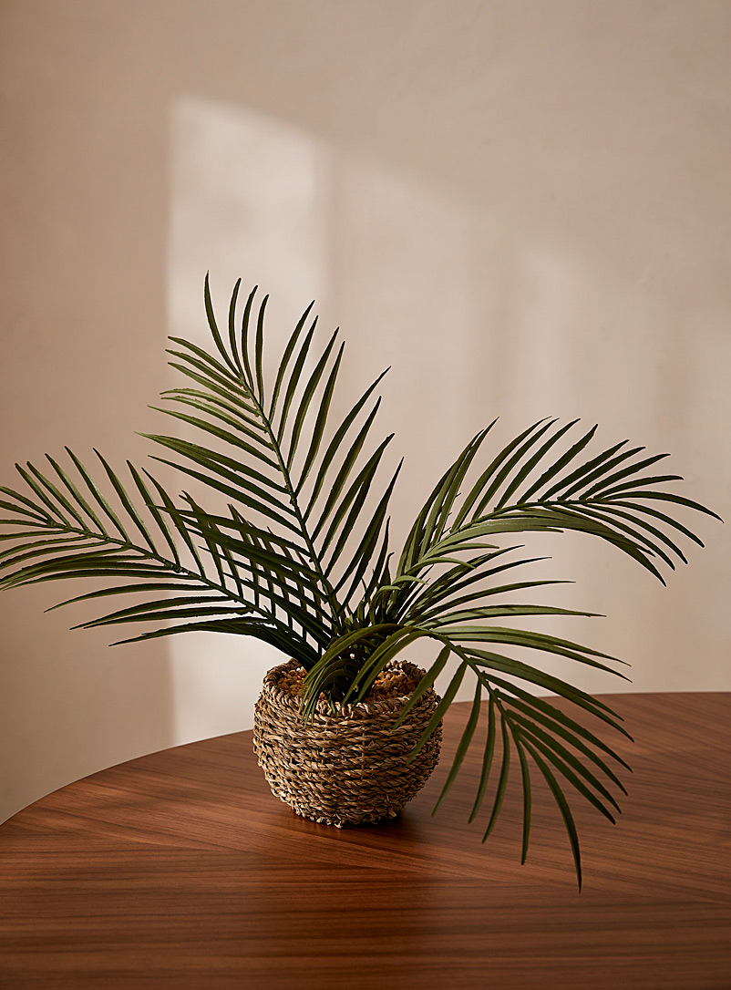 Simons Maison Green Artificial palm tree plant