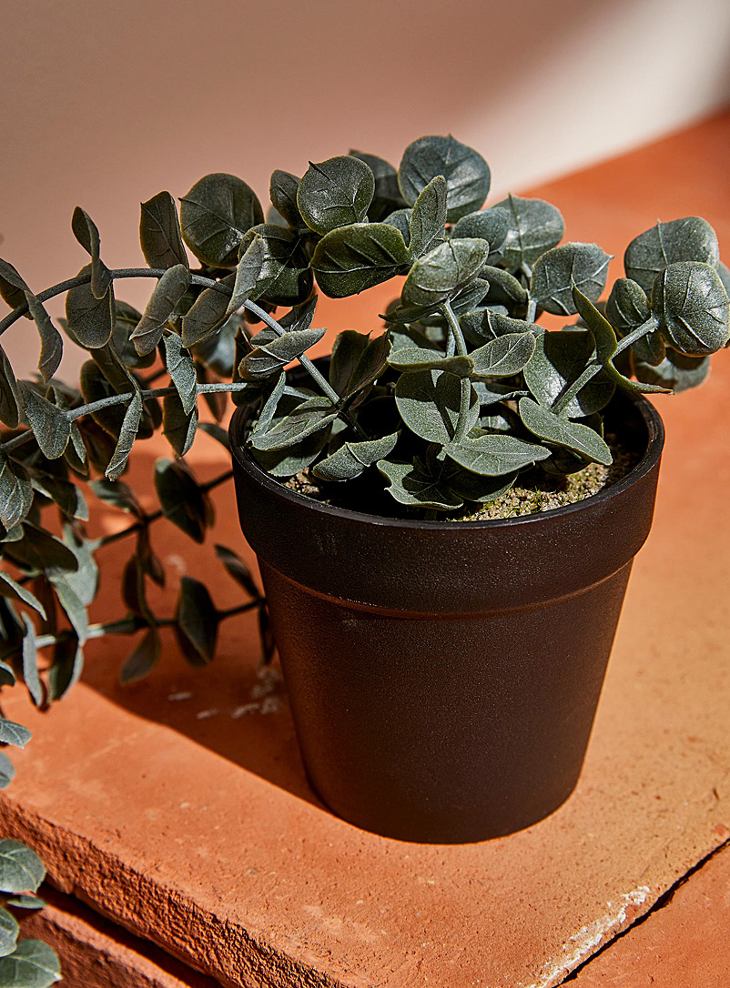 Simons Maison: La plante retombante imitation eucalyptus Vert pistache - Menthe