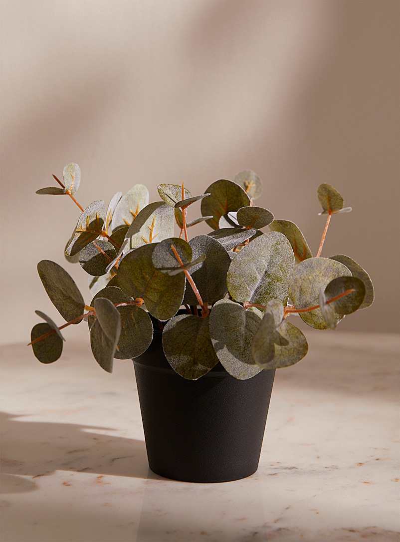 Simons Maison Mint/Pistachio Green Artificial eucalyptus plant