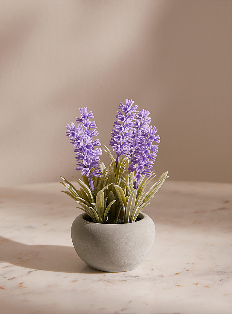 Simons Maison Lilacs Artificial lavender plant