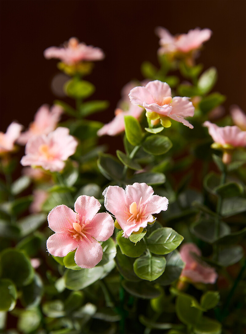 Simons Maison: La plante imitation petites fleurs color&eacute;es Rose