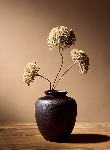 Artificial beige flowers branch