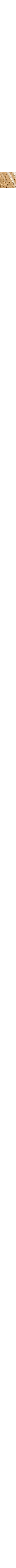 Blanc cassé