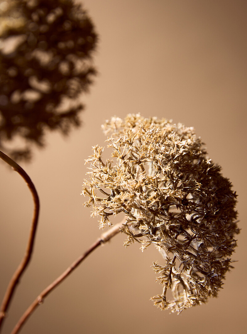 Artificial beige flowers branch product image 3
