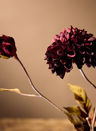 La branche imitation dahlia