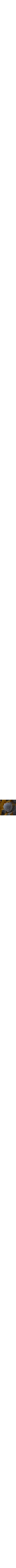 Pourpre