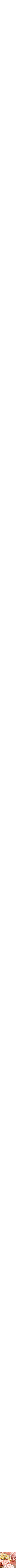 Assorti