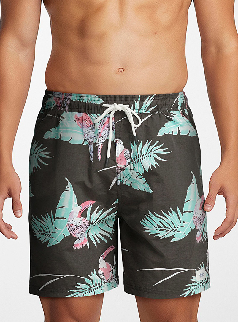 Katin Assorted brown  Toucan palm tree swim trunk for men