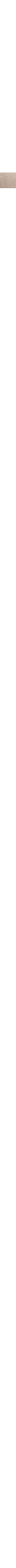 Blanc cassé