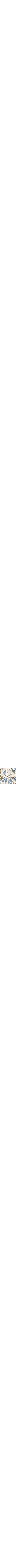 Patterned Blue