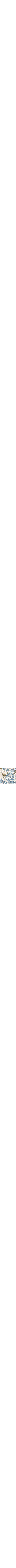 Patterned Blue