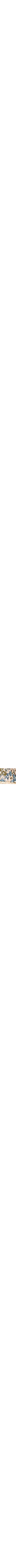 Bleu à motifs