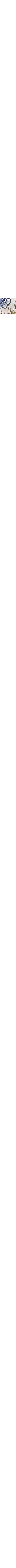 Blanc à motifs