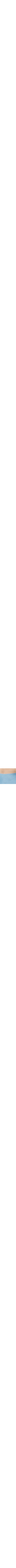 Bleu à motifs