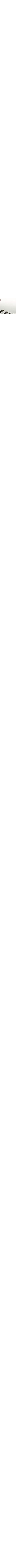 Blanc à motifs
