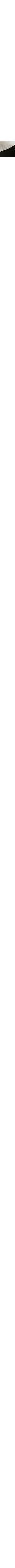 Noir à motifs