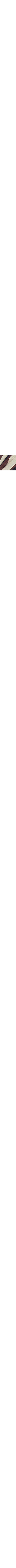 Brun à motifs