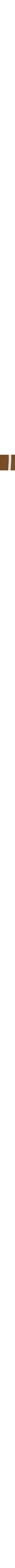 Brun à motifs