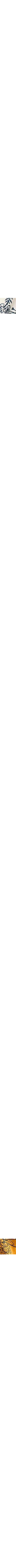Jaune à motifs