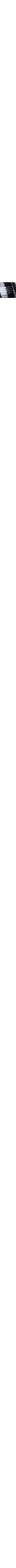 Blanc et noir