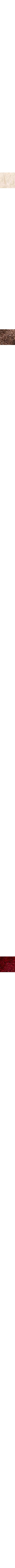 Blanc cassé