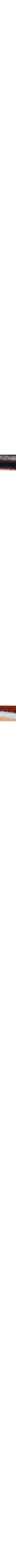 Brun à motifs