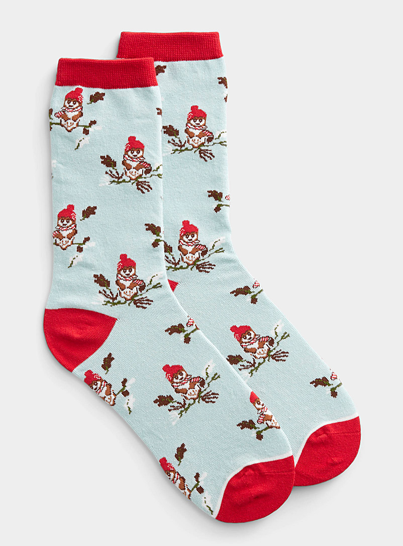 Simons Grey Perched owl sock for women