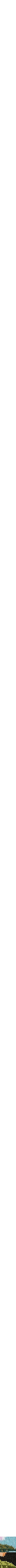 Assorti