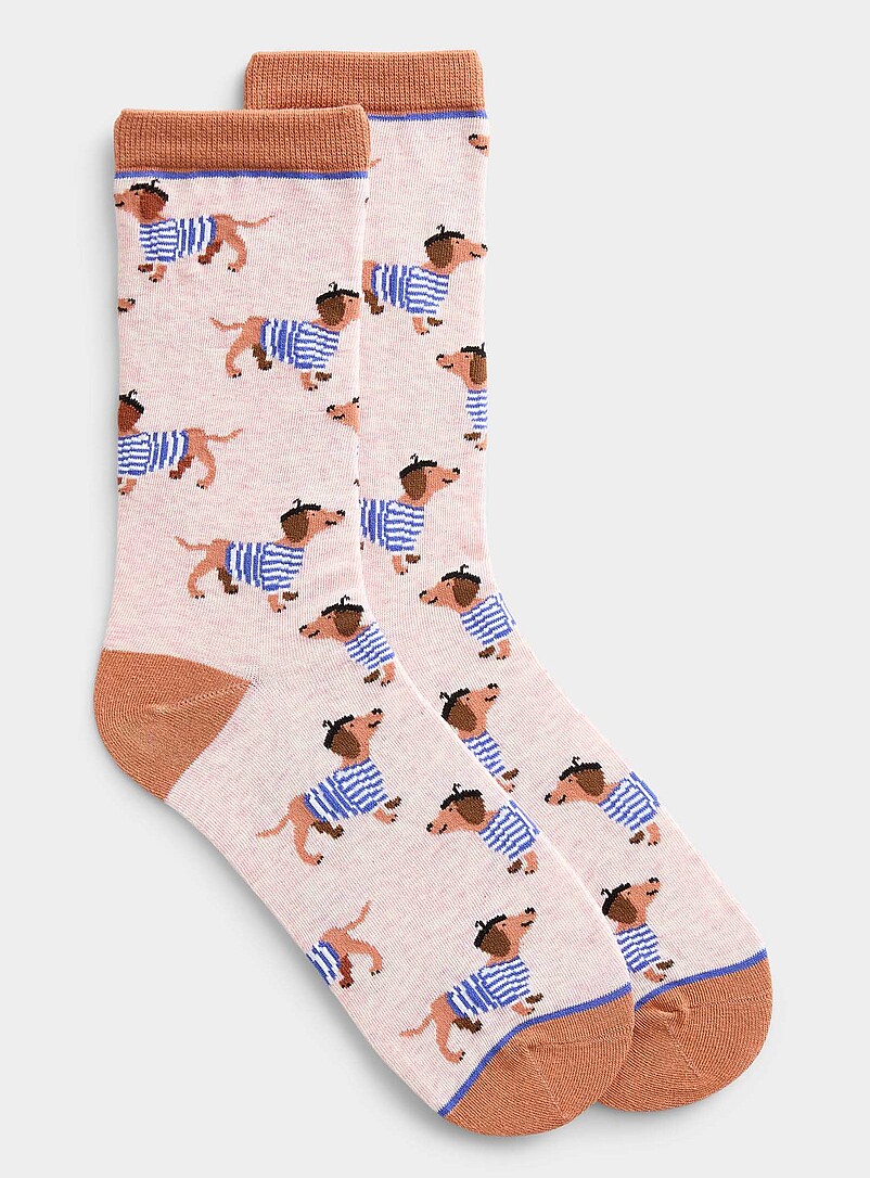 Cute animal colourful socks product image (primary)