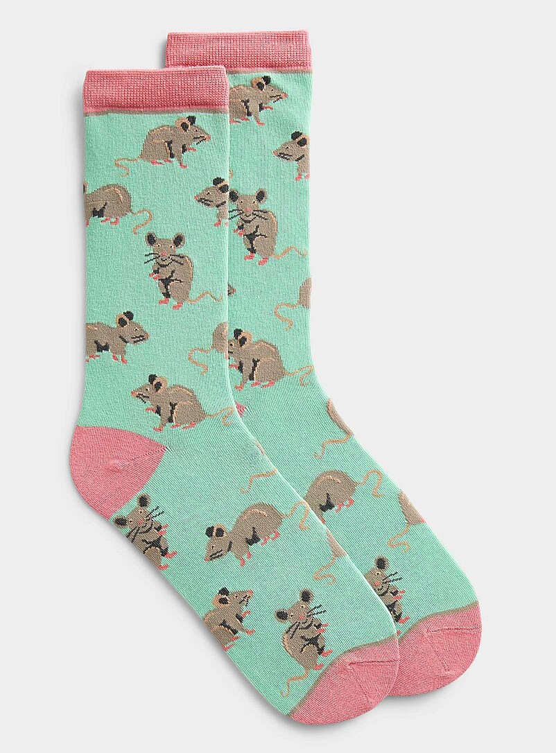 Cute Animal Colourful Socks