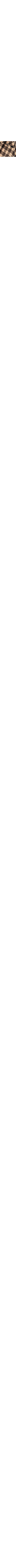 Brun à motifs