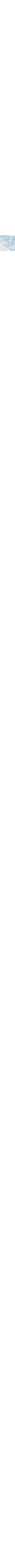 Écru à motifs
