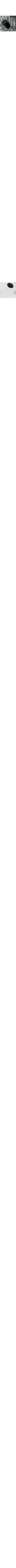 Blanc et noir
