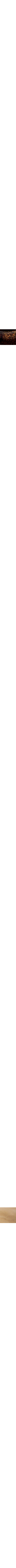 Assorti