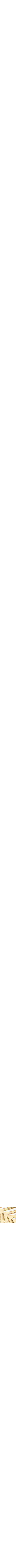 Doré