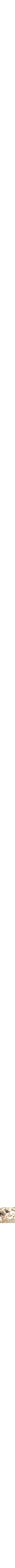 Assorti